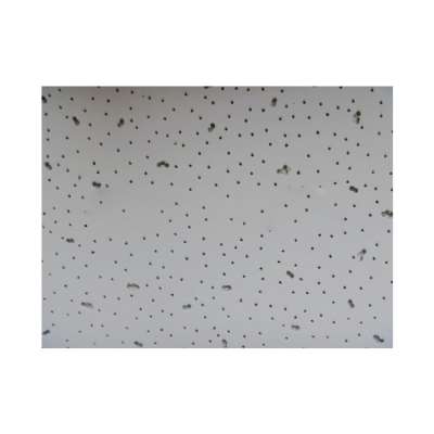 Lower Price Wool Sound-Absorbing Ceiling Tiles Acoustic Mineral Fiber Board